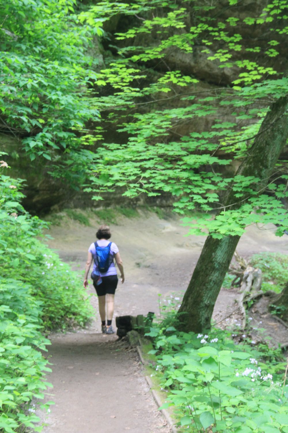 Starved Rock 